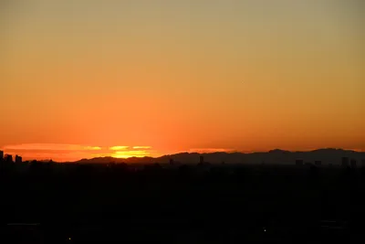 DSC_1493 (Large).JPG